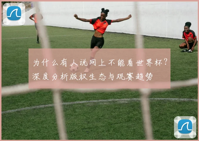 为什么有人说网上不能看世界杯？深度分析版权生态与观赛趋势