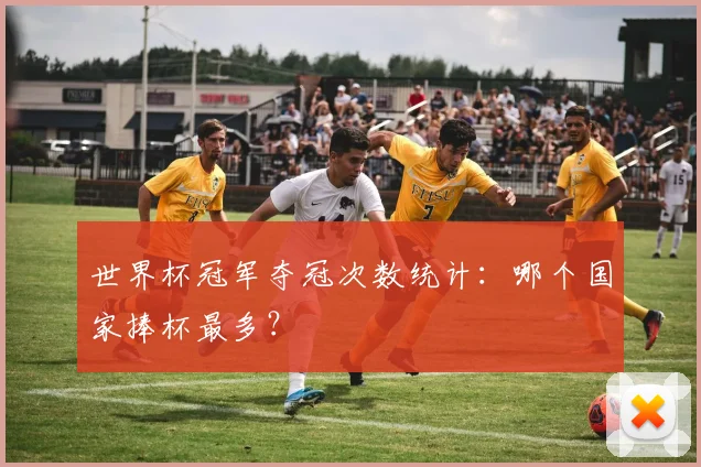 世界杯冠军夺冠次数统计:哪个国家捧杯最多?