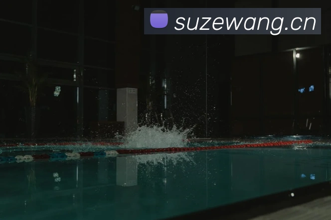 开云kaiyun在线体验平台生态图