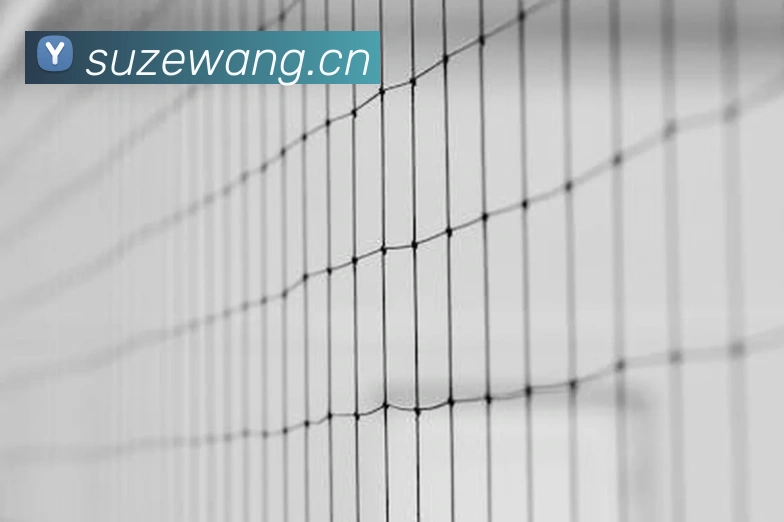 开云kaiyun在线体验APP 封面图